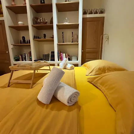 Amy 파리